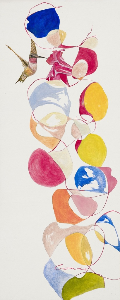 Picaflor Andino