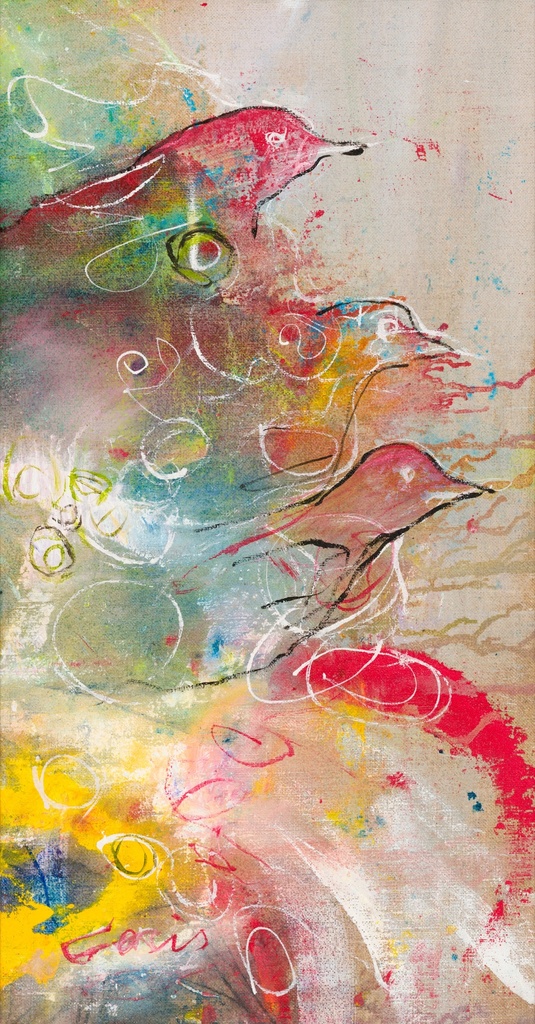Les oiseaux en couleurs